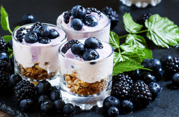 Fototapeta na wymiar Homemade granola with yogurt, blueberry and blackberry in glass