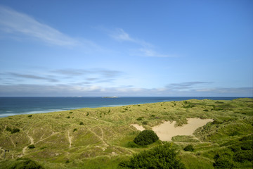 Fototapeta na wymiar Beach, Northumberland, England, Europe , Landscape