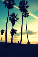 Naklejka premium Venice Beach Sunset vintage retro cross processed colors. Tropical summer vacation and travel concept
