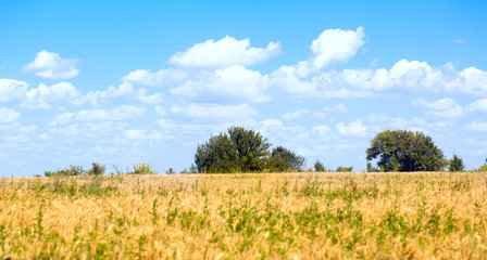 Don river steppes landscape trees sky clouds Russia