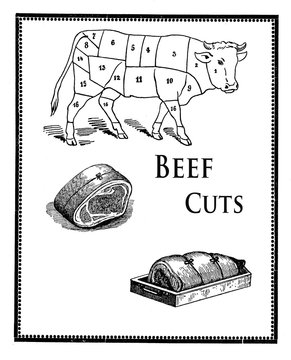 Food engraving,beef cuts and meat preparation
