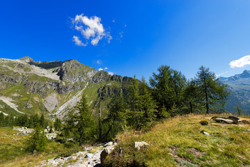 National Park of Adamello Brenta - Italy / Peaks in the National Park of Adamello Brenta. Trentino Alto Adige, Italy