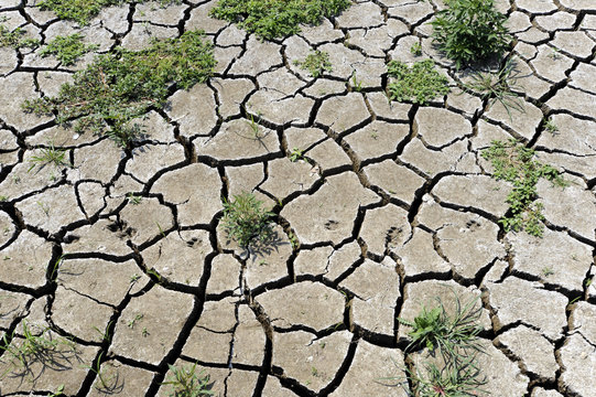 Cracked ground