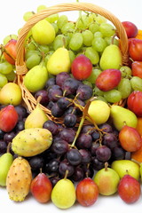 Frutta di stagione
