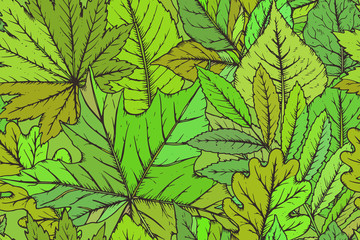 Fototapeta na wymiar Vector seamless pattern with highly detailed hand drawn leaves.