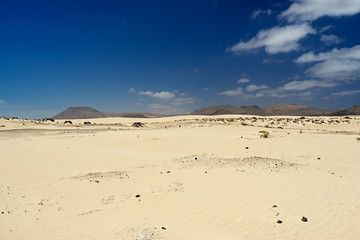 Fototapeta na wymiar Desert of Fuerteventura in area Corallejo