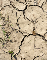 Dry cracked soil