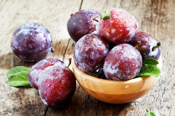 Large purple plum with water drops and leaves in a wooden bowl,