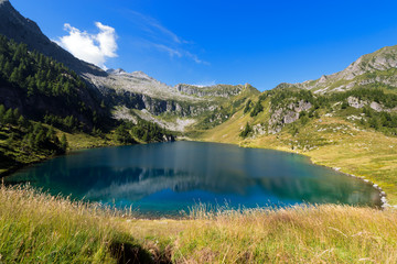 Fototapeta na wymiar Lago di Campo - Adamello Trento Italy / Lago di Campo (Campo lake) 1944 m. Small beautiful alpine lake in the National Park of Adamello Brenta, Trentino Alto Adige, Italy