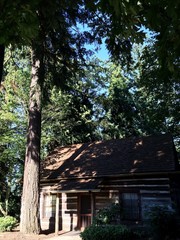 Fototapeta premium wooded lifestyle