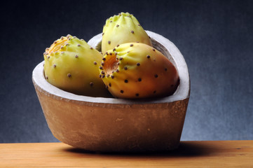 Opuntia ficus-indica Ficu d'Innia Fikonkaktus Fico d'India Chumbera Hint inciri Figueira da India...