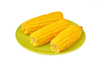Cob of corn on green plate, isolated on white background