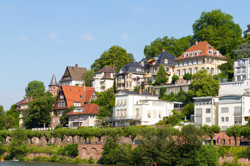 Fototapeta na wymiar Heidelberg houses 