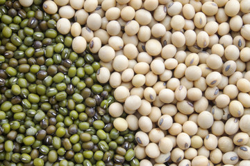 soy beans and green beans 