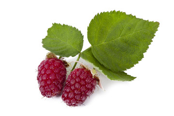 natural raspberries isolated on white