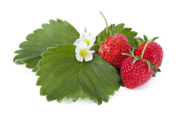 red strawberries with leaves isolated on white
