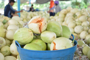Organic fresh cantaloupe melon