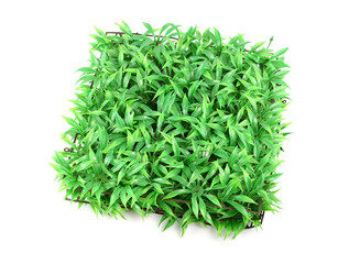 artificial turf on a white background