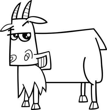 goat farm animal coloring book