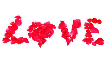 Love of rose petals isolated on white background