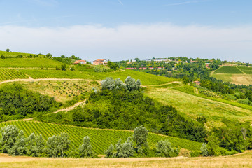 Agricultural cultivated fields in Italy