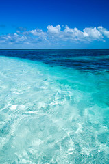 Fototapeta premium sea
