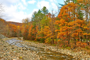 Fototapeta premium Swift River at autumn