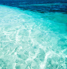  beach and tropical sea