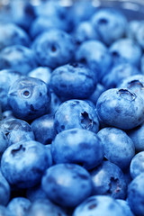  blueberries