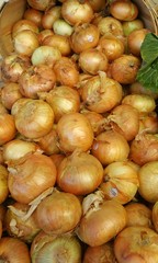 Yellow Onions at a produce stand