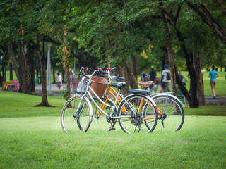 Fototapeta na wymiar Two empty bicycles in the park
