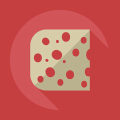 Flat modern design with shadow icons cheese