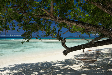 Tropical coast with hanging branch of tree. View of the Sea