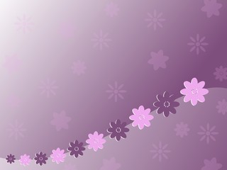 Purple and pink flowers as a background