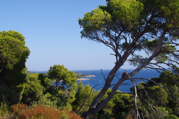 Ausblick von der Insel Katharina in Kroatien nahe Rovinj
