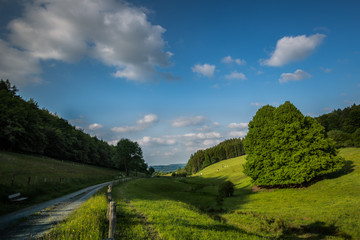 Weg im Tal der Entspannung