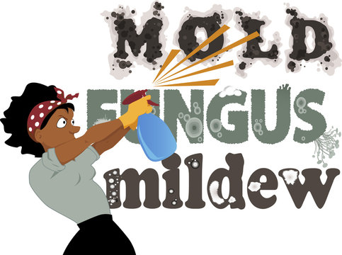 Black woman spraying from a spray bottle words Mold, Fungus and Mildew on the wall, vector illustration, no transparencies, EPS 8