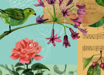 Vintage collage with green bird, red rose, scraps of paper and sheet music