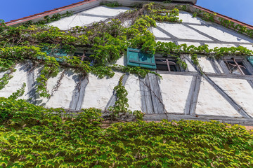 Forchheim City in Franconia, Germany / Outdoor Travel Pictures from Public Places on a warm summer day in this picturesque town