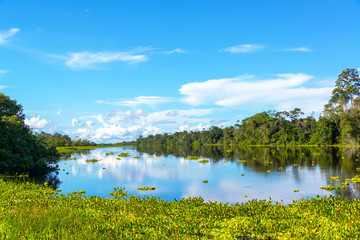 Fototapeta premium Amazon Jungle View and Reflection