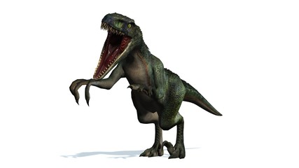 velociraptor dinosaurs - isolated on white background