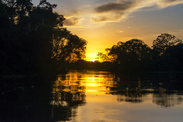 Amazonian Sunset