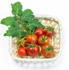 Fresh red tomatoes in basket on white background