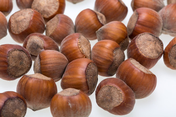 Pile of hazelnuts isolated on white background