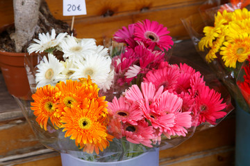 colorful beautiful flowers from the florist's shop