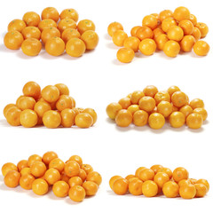 Collection of juicy tangerines or mandarins isolated on white background