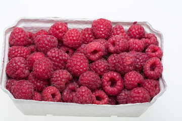 A beautiful selection of freshly picked ripe red raspberries.