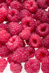 A beautiful selection of freshly picked ripe red raspberries.