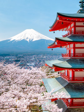 Fototapeta Chureito Pagoda z Górą Fuji w tle w Japonii