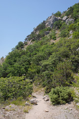 Fototapeta na wymiar Mountain landscape with the image of the Crimean Mountains